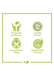 Pure Harvest Red Cherry Tomato Bunch 290g