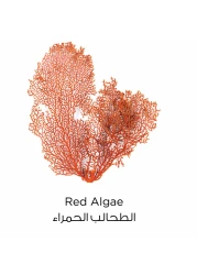 L'Oreal Paris Pure Clay Red Face Cleanser Red 150ml