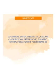 أمريكان غاردن مخلل هامبورغر بنكهة الشبت 90.7 غرام