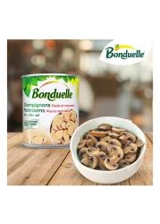 Bonduelle Champignons Mushroom Pieces and Stems, 350g