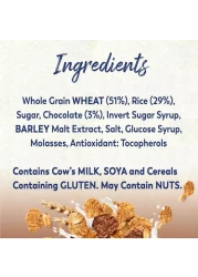 نستله فتنس حبوب شوكولاتة مورنينج بوست 375 غرام