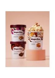 Haagen Dazs Macadamia Nut Brittle Ice Cream 460ml
