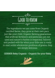 Gerber Organic Multicereal Wheat, Oats, Mango, Carrot and Banana, 200g