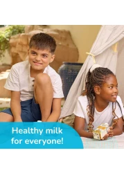 Koita Organic Oat Milk 200ml