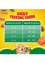 Purina Friskies Indoor Delights Flavours of Salmon, Tuna, Chicken, Beef and Vegetables Adult Dry Cat Food, 1kg