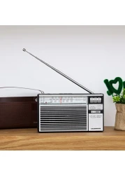 Olsenmark Portable Radio with 3 Band - Rechargeable Battery, Bluetooth USB, TF, &amp; MP3, Comfortable Handle, Karaoke Function - Recorder - Microphone Retro Style Radio, 2 Years Warranty