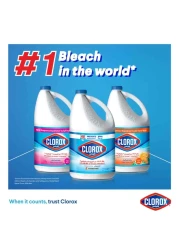Clorox Liquid Bleach 950ml