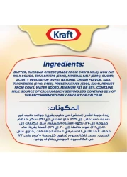Kraft Cheddar Cheese Spread, 480g Pack of 2