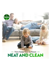 Dettol Power Kitchen And Bathroom Cleaner 500ml Pack of 2