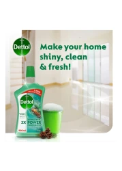 ديتول باور ×3 منظف أرضيات و مضاد للبكتيريا برائحة الصنوبر 900 ملل حزمة من 2