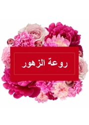 Mr. Muscle All Purpose Floral Perfection Liquid Floor Cleaner 1L