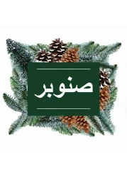 مستر ماسل سائل منظف الأرضيات متعدد الاستعمالات برائحة الصنوبر 1 لتر