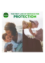 Dettol Anti-Bacterial Antiseptic Disinfectant 750ml