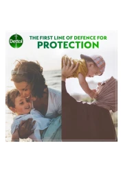 Dettol Anti-Bacterial Antiseptic Disinfectant 250ml