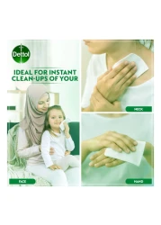 Dettol Anti Bacterial Original Skin 20 Wipes