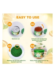 إيرويك جل برائحة زيت الليمون الأخضر العطري 70 غرام