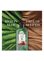 Herbal Essences Color Protect Sulfate Free Potent Aloe Vera + Mango Natural Shampoo for Dry Hair And Hair Hydrate 400ml