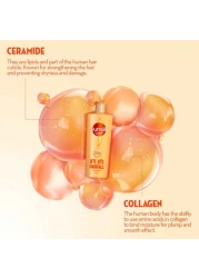 صانسيلك شامبو مزيج الكولاجين لتساقط الشعر، وداعا لتساقط الشعر، 350 ملل