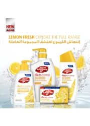Lifebuoy Antibacterial Body Wash Lemon Fresh 300ml Pack of 2