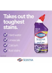 كلوركس سينتيفا توسكان منظف المرحاض خالي من المبيضات 709 ملل حزمة من 3 .