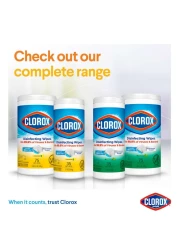 Clorox Disinfecting Wipes Crisp Lemon 75 Wet Wipes