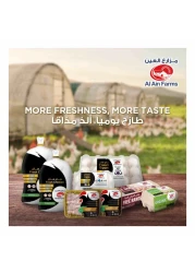 AL AIN CHICKEN FILLET 500G