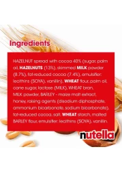 Nutella Biscuit Chocolate Biscuit Pack of 22 Biscuits 304g