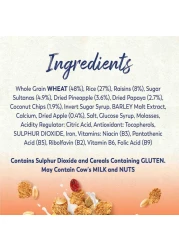 نستله فيتنس مورنينغ بوست رقائق الفطور بالفواكه، 375 غرام