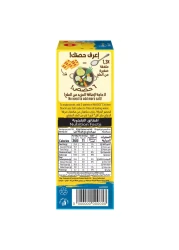 Nestle Maggi Chicken Less Salt Stock 20g Pack of 24