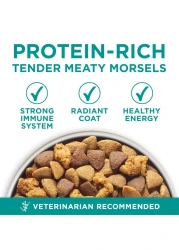 بورينا وان بلس تركيبة صحية للجهاز الهضمي، طعام للكلاب، 3.63 كغ