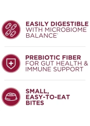 بورينا وان لقيمات بنكهة لحم البقر والأرز، طعام للكلاب، 1.81 كغ