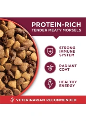 Purina ONE Small Bites Beef &amp; Rice Formula, Dog Food 3.63kg