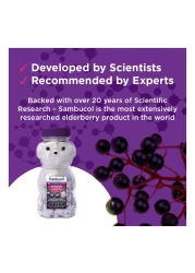 Sambucol Kids Chewable Teddies 60 Chewables