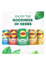 Lipton Herbal Infusion Mint 20 Tea Bags