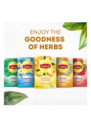 Lipton Herbal Infusion Lemon And Ginger 20 Tea Bags