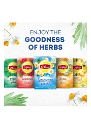 Lipton Herbal Infusion Tea Bags Relax Sleep Calm Chamomile Naturally Caffeine-Free 20 Tea Bags