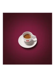 Illy Blend Intenso Bold Roast Coffee Beans 250g