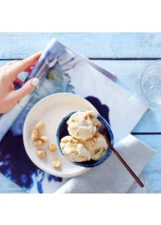 Haagen Dazs Macadamia Nut Brittle Ice Cream 460ml