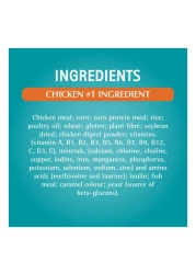 بورينا ون فيزيبل طعام القطط للتحكم في كرات الشعر بالدجاج للقطط بعمر سنة فما فوق 1.2 كغ