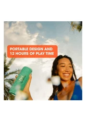 JBL Flip 6 Waterproof Bluetooth Speaker Turquoise