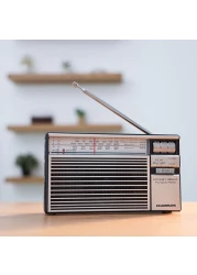 Olsenmark Portable Radio with 3 Band - Rechargeable Battery, Bluetooth USB, TF, &amp; MP3, Comfortable Handle, Karaoke Function - Recorder - Microphone Retro Style Radio, 2 Years Warranty