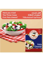 The Three Cows Mozzarella Shredded Cheese, 1kg