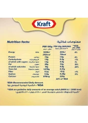 Kraft Cheddar Cheese Spread, 480g Pack of 2