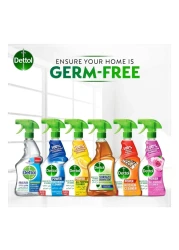 Dettol Power Kitchen And Bathroom Cleaner 500ml Pack of 2