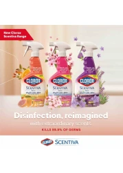 Clorox Scentiva Multi-Surface Cleaner Madagascar Citrus Grove 500ml Pack of 2