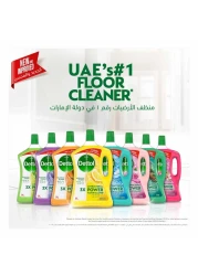 Dettol 3X Antibacterial Power Floor Cleaner Pine 3L+1.8L
