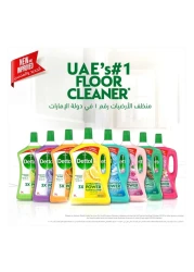 ديتول منظف للأرضيات مضاد للبكتيريا برائحة اللافندر 3 لتر مع منظف لجميع الأغراض بعطر الليمون 500ملل