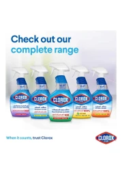Clorox Bathroom Spray Cleaner Bleach Free 750ml