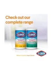 Clorox Disinfecting Wipes Crisp Lemon 75 Wet Wipes