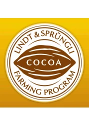 Lindt Excellence Orange Intense Dark Chocolate 100g